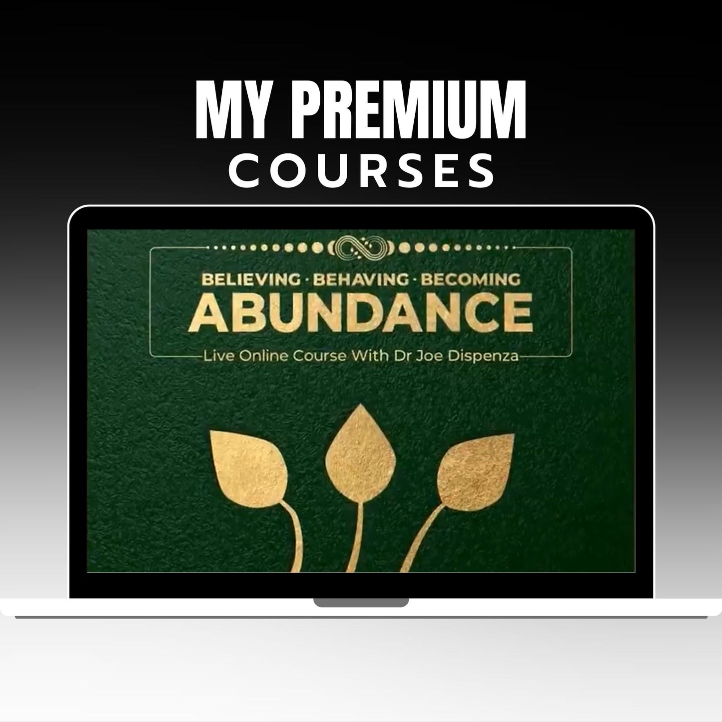 Joe Dispenza Abundance Online Course 2025 on My Premium Courses