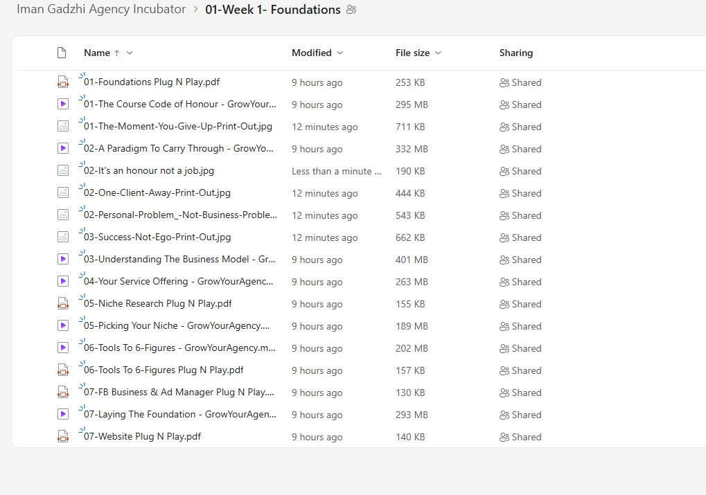 Iman Gadzhi – Agency Incubator Module 1 on My Premium Courses