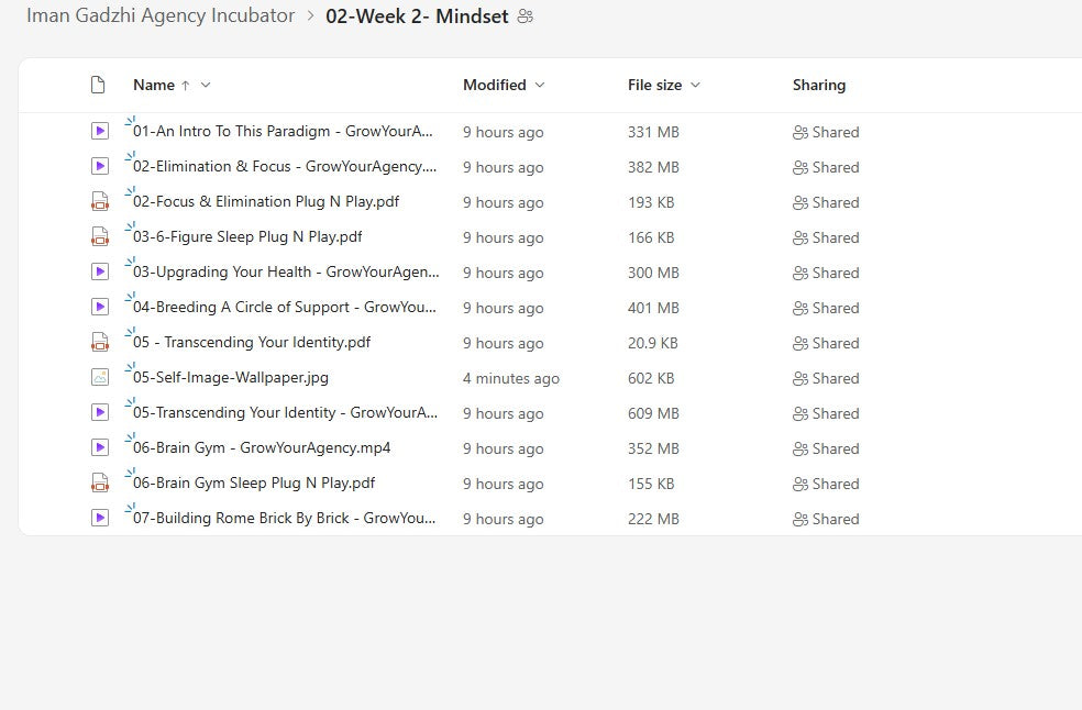 Iman Gadzhi – Agency Incubator Module 2 on My Premium Courses