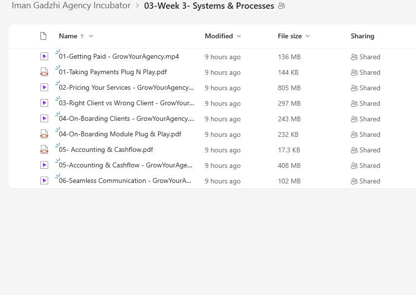 Iman Gadzhi – Agency Incubator Module 3 on My Premium Courses