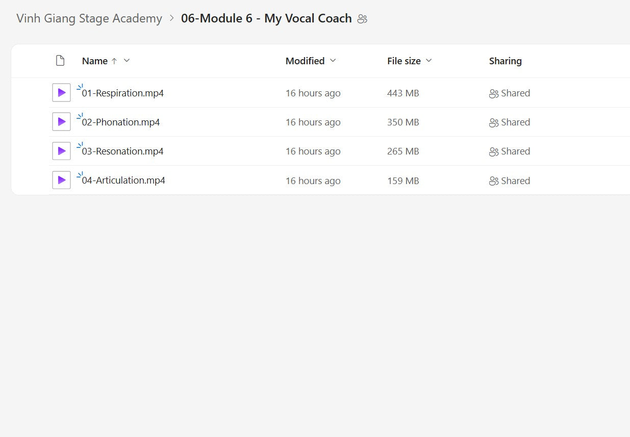 Vinh Giang - Stage Academy Module 6 on My Premium Courses