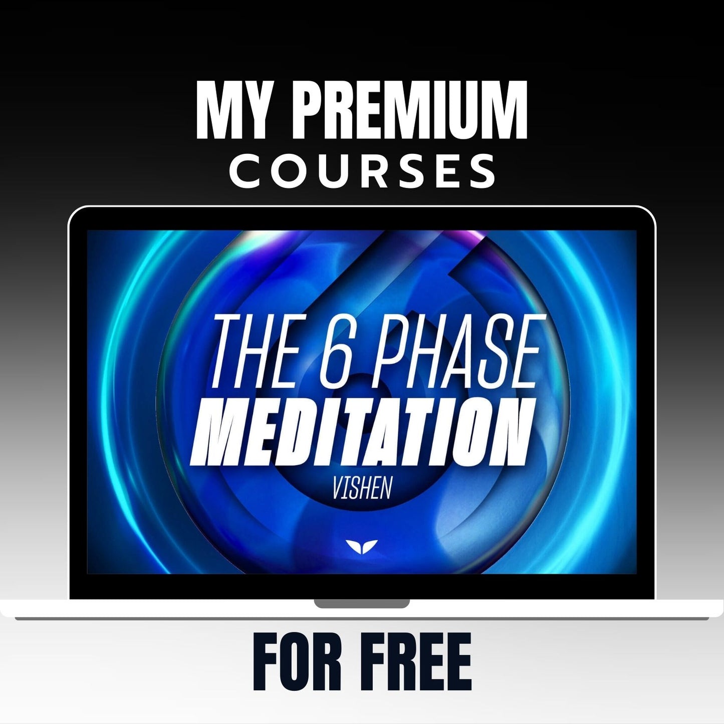 Vishen Lakhiani - The 6 Phase Meditation on My Premium Courses
