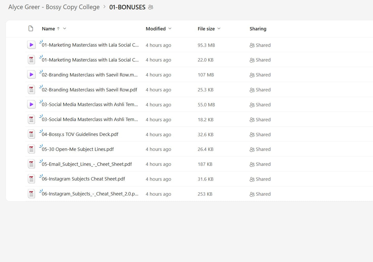 Alyce Greer – Bossy Copy College Module 1 on mypremiumcourses.com