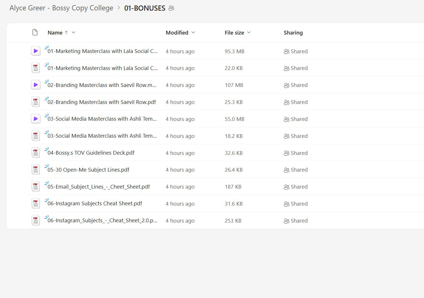 Alyce Greer – Bossy Copy College Module 1 on mypremiumcourses.com