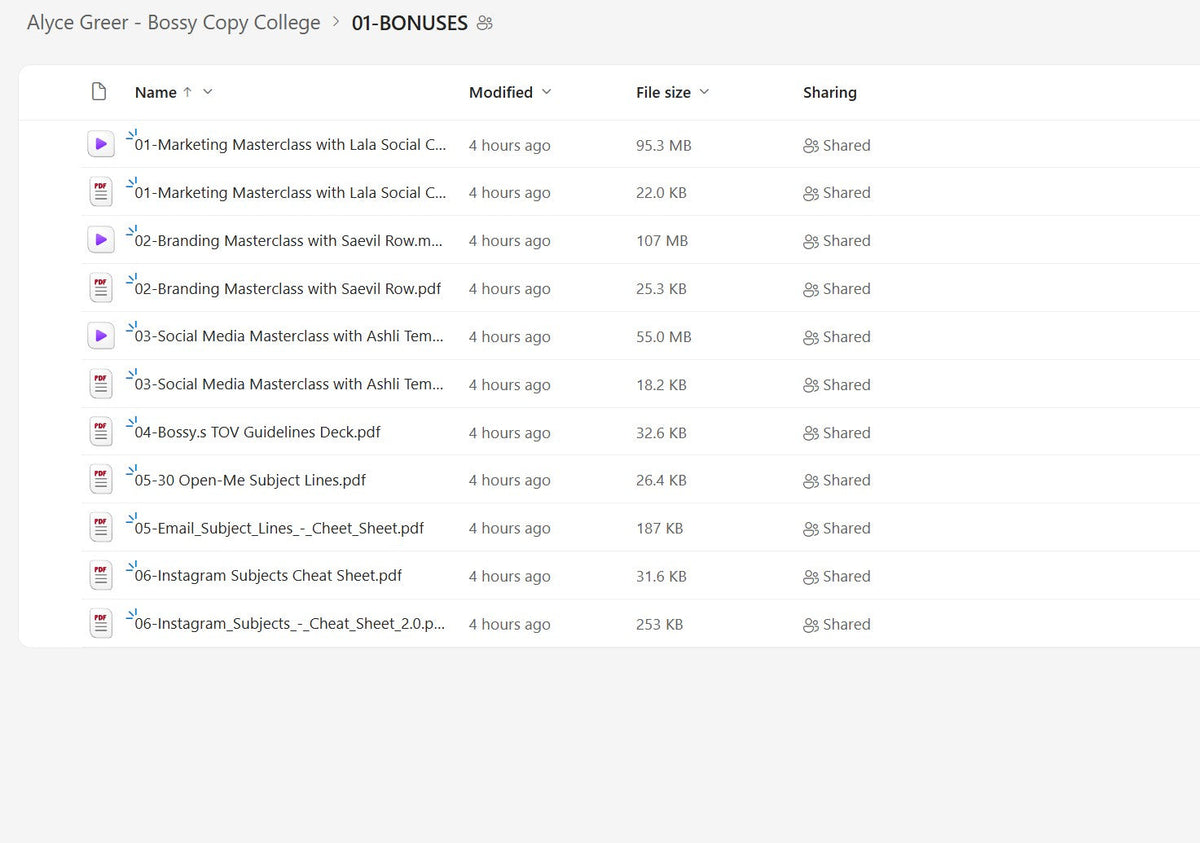 Alyce Greer – Bossy Copy College Module 1 on mypremiumcourses.com