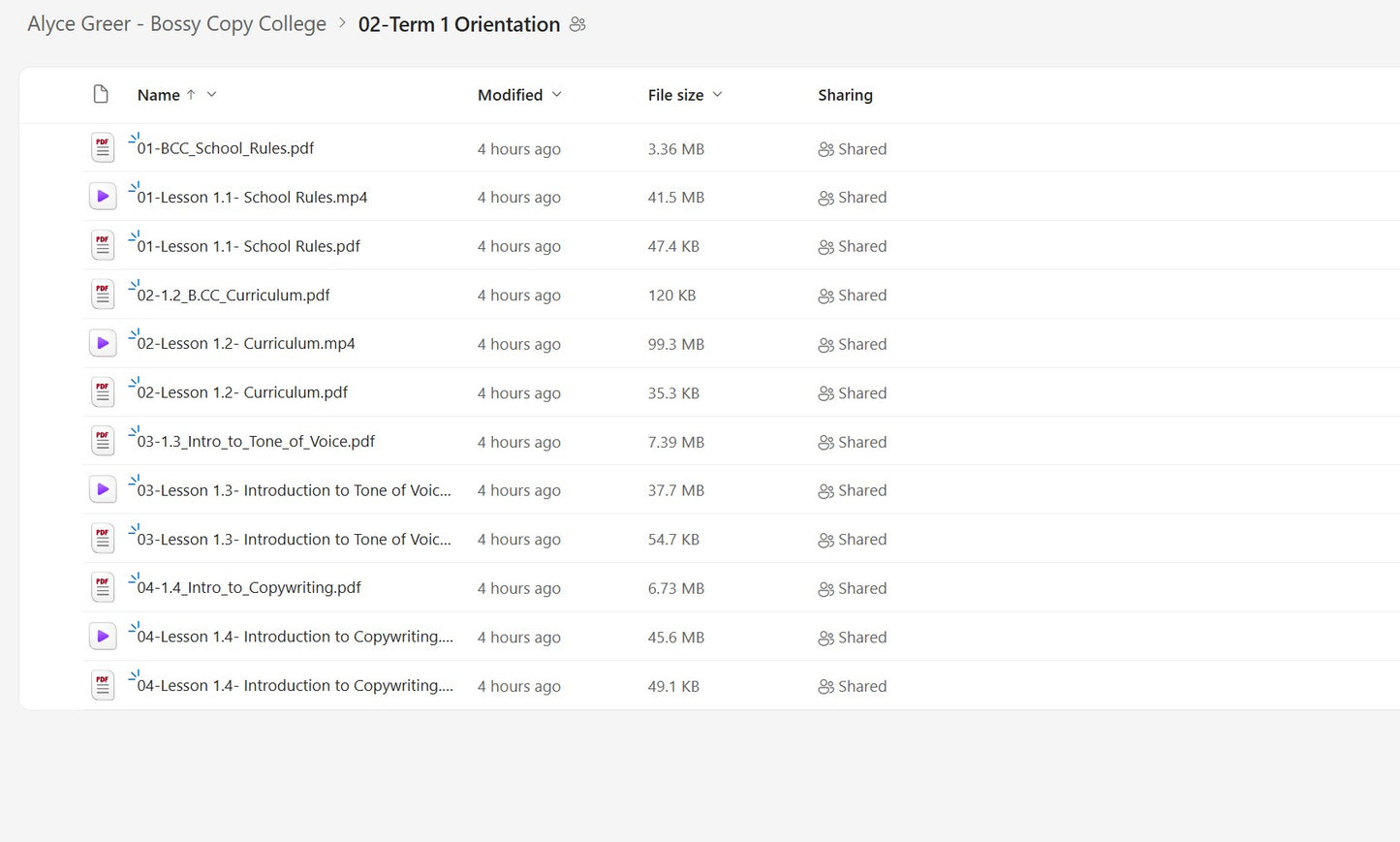 Alyce Greer – Bossy Copy College Module 2 on mypremiumcourses.com
