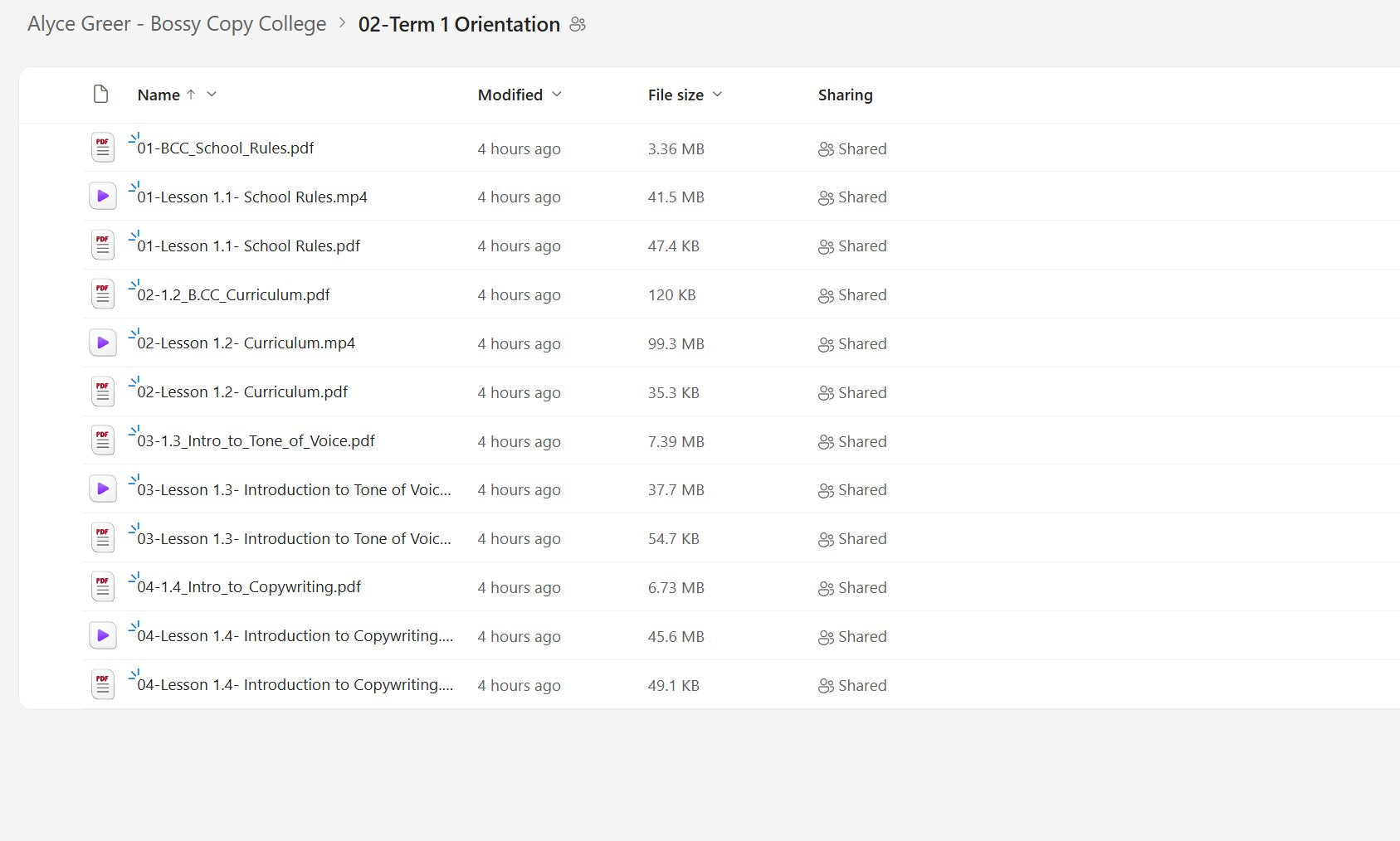 Alyce Greer – Bossy Copy College Module 2 on mypremiumcourses.com