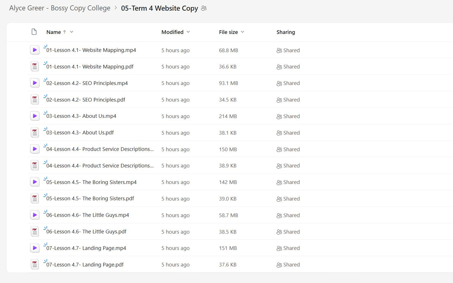 Alyce Greer – Bossy Copy College Module 5 on mypremiumcourses.com