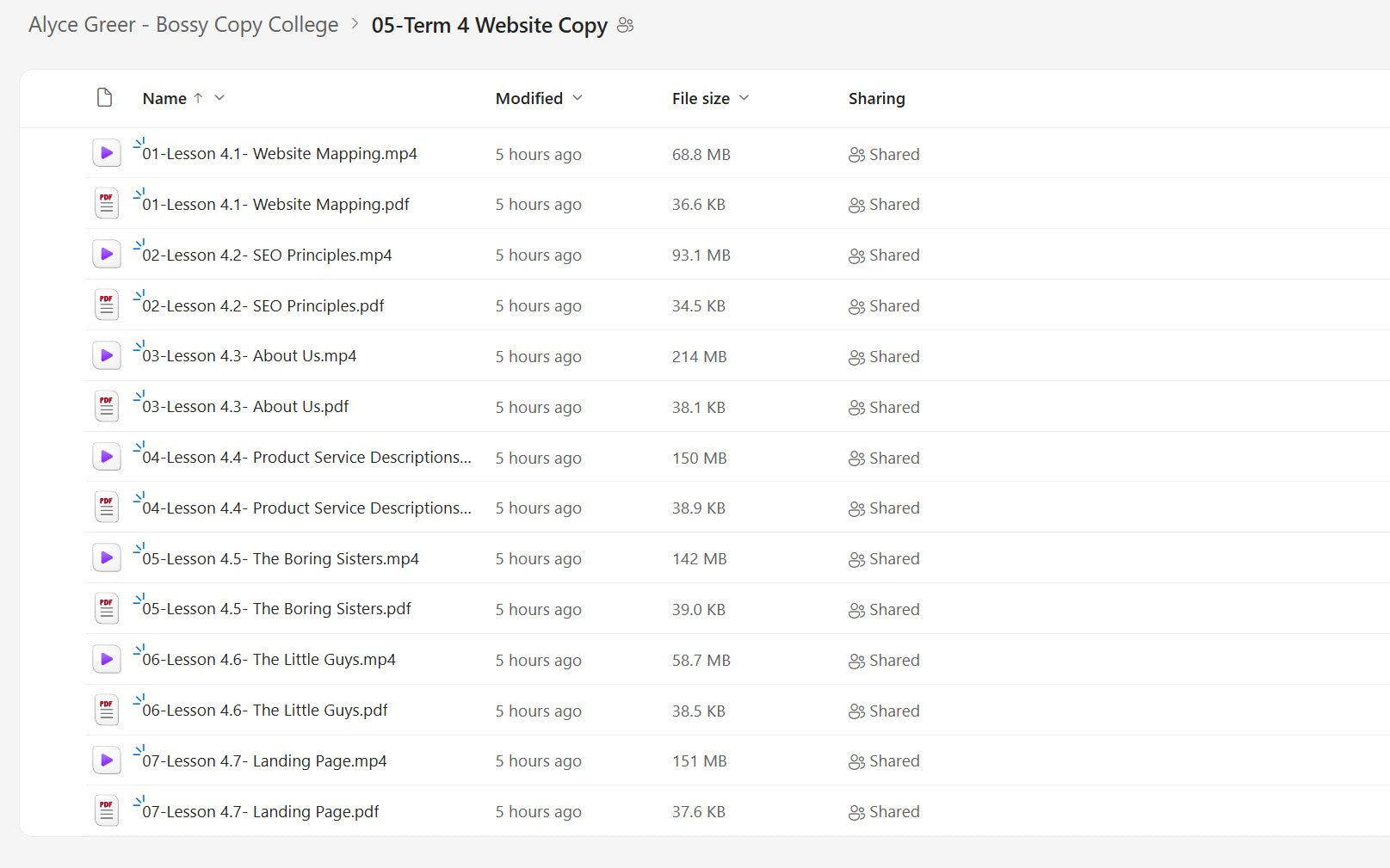 Alyce Greer – Bossy Copy College Module 5 on mypremiumcourses.com