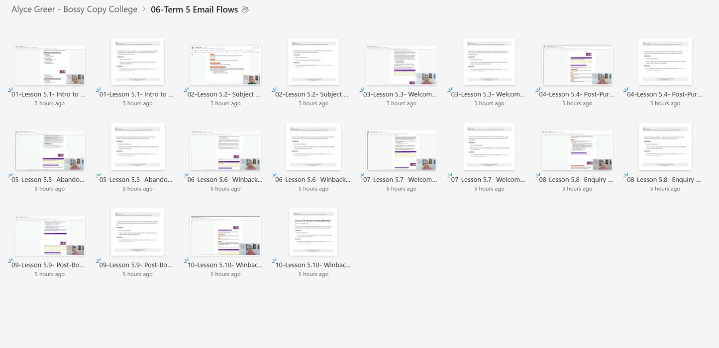 Alyce Greer – Bossy Copy College Module 6 on mypremiumcourses.com