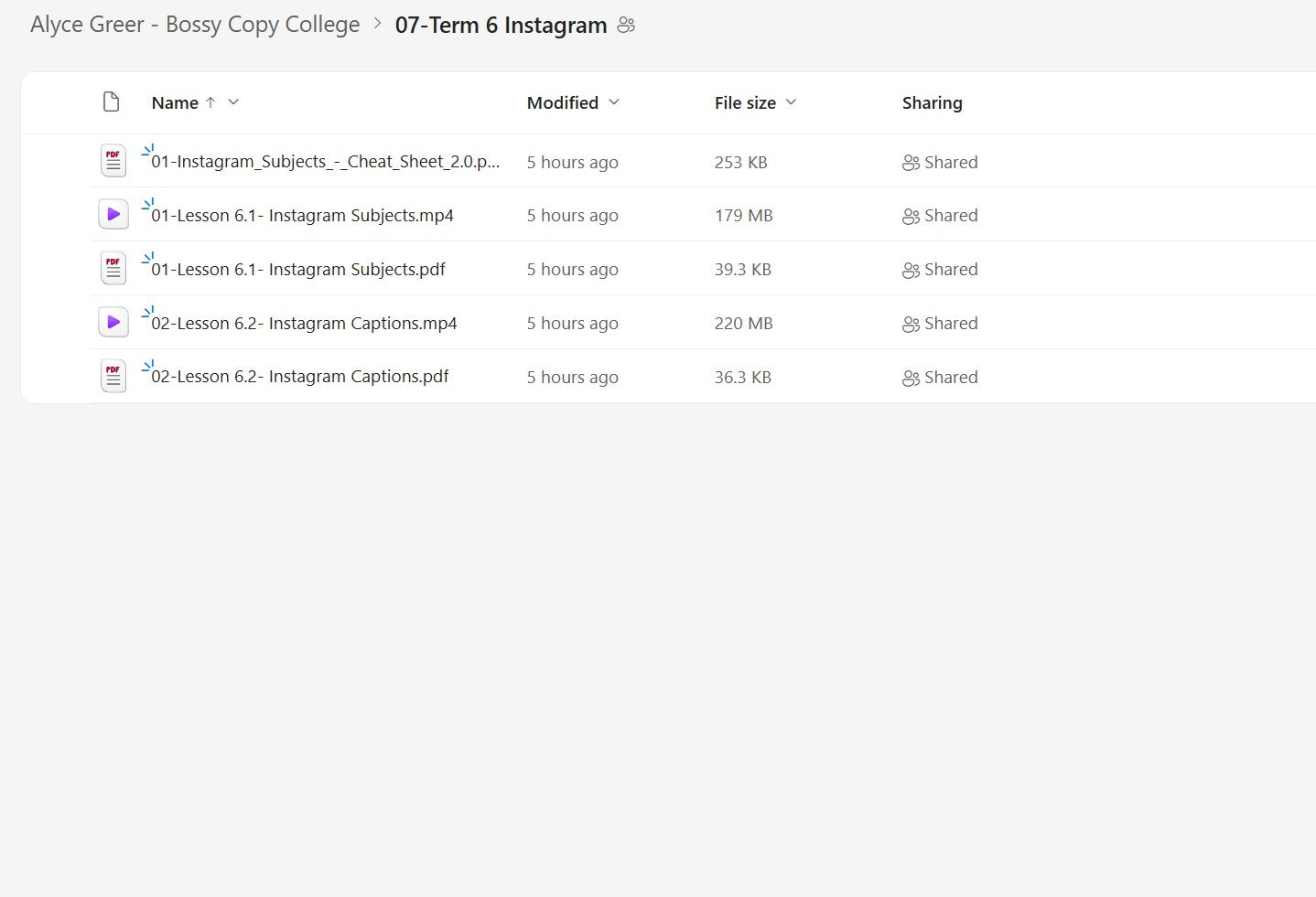 Alyce Greer – Bossy Copy College Module 7 on mypremiumcourses.com