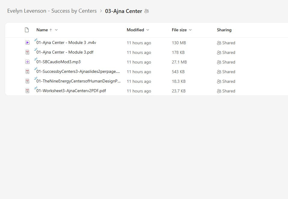 Evelyn Levenson – Success by Centers