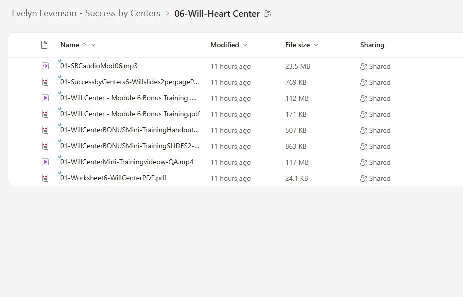 Evelyn Levenson – Success by Centers