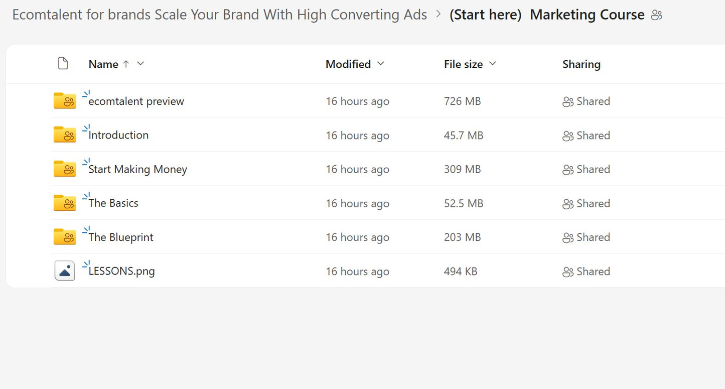 Karlo – Learn How To Make Ads & Scale Ecommerce Brands LIFETIME UPDATES Module 1 on mypremiumcourses.com