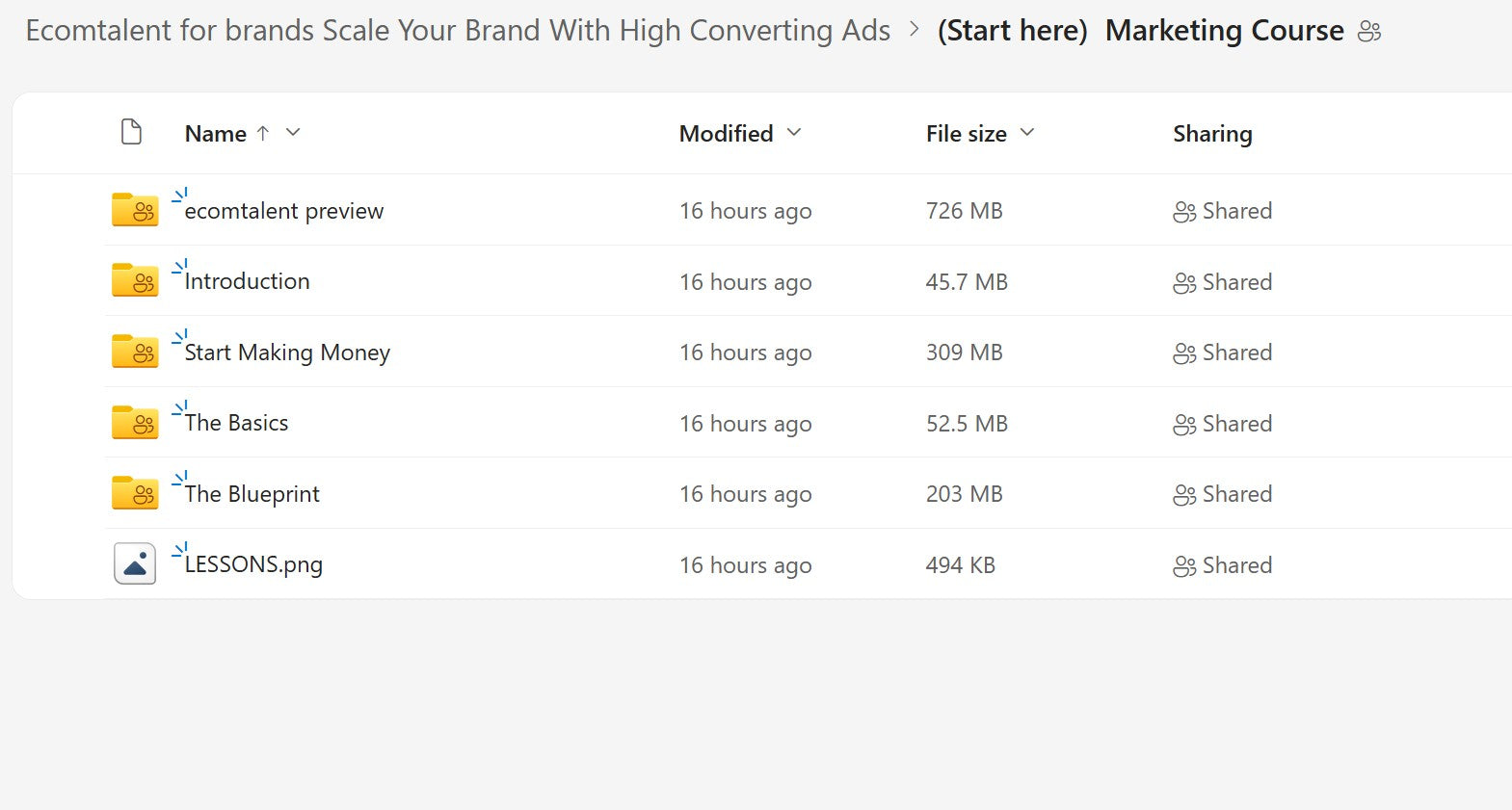 Karlo – Learn How To Make Ads & Scale Ecommerce Brands LIFETIME UPDATES Module 1 on mypremiumcourses.com