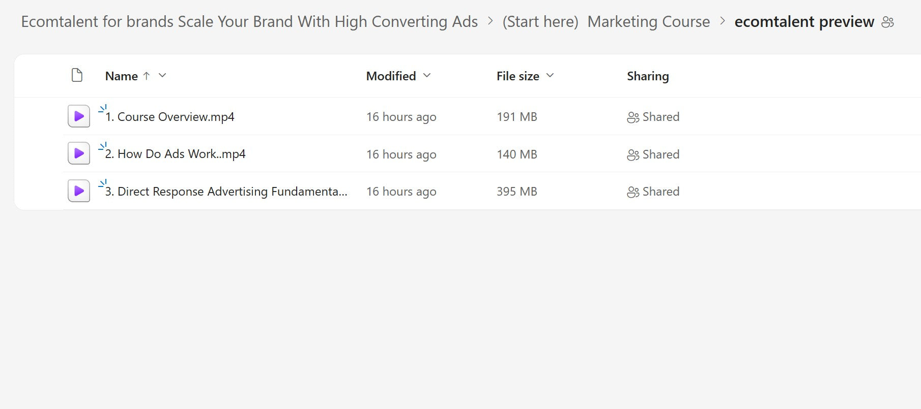 Karlo – Learn How To Make Ads & Scale Ecommerce Brands LIFETIME UPDATES Module 1.1 on mypremiumcourses.com