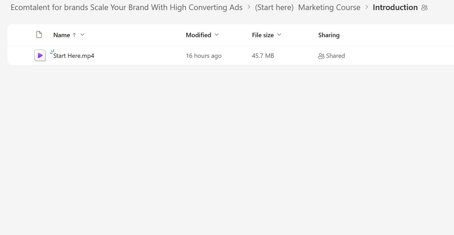 Karlo – Learn How To Make Ads & Scale Ecommerce Brands LIFETIME UPDATES Module 1.2 on mypremiumcourses.com