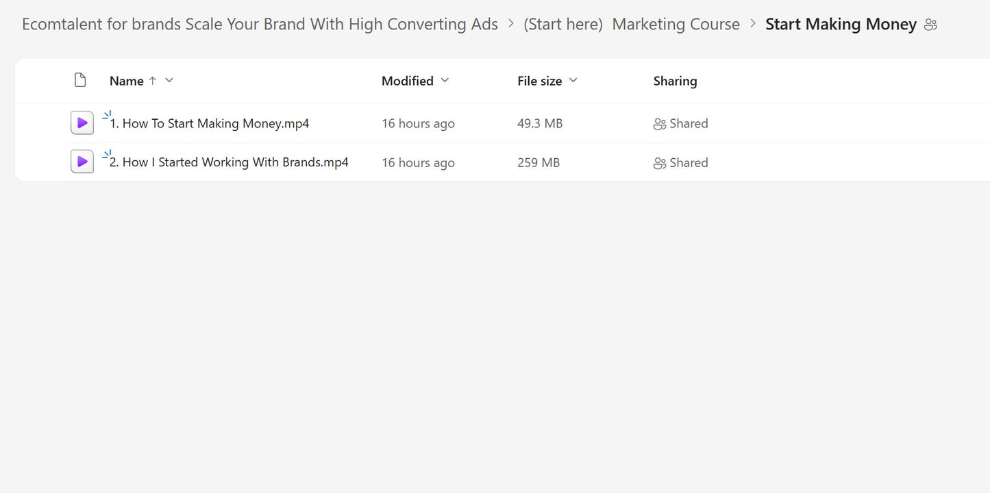 Karlo – Learn How To Make Ads & Scale Ecommerce Brands LIFETIME UPDATES Module 1.3 on mypremiumcourses.com