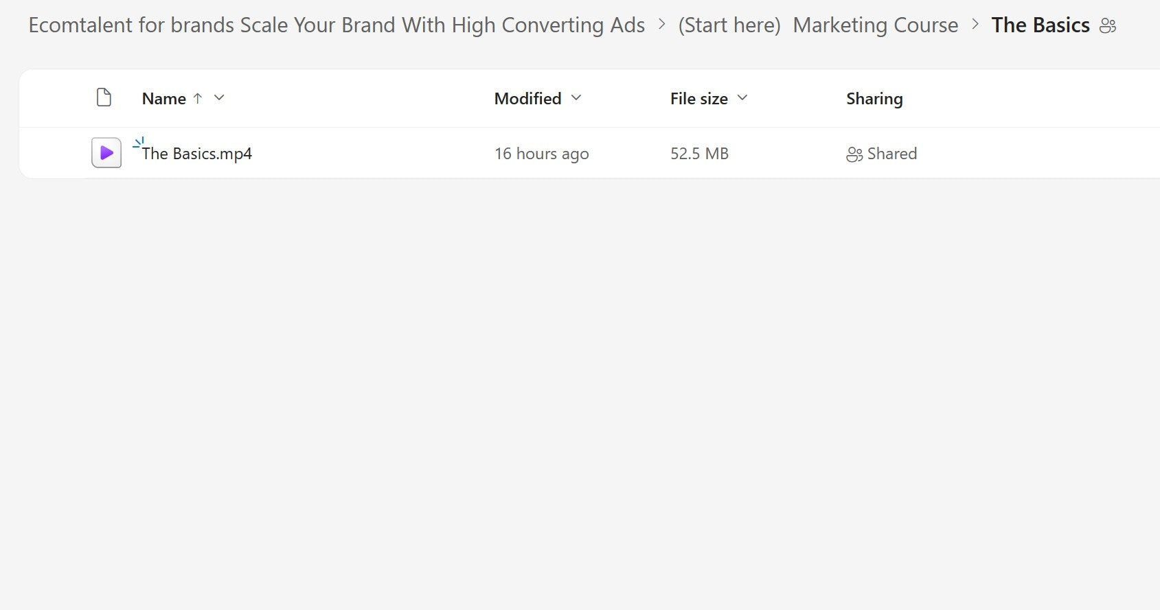 Karlo – Learn How To Make Ads & Scale Ecommerce Brands LIFETIME UPDATES Module 1.4 on mypremiumcourses.com