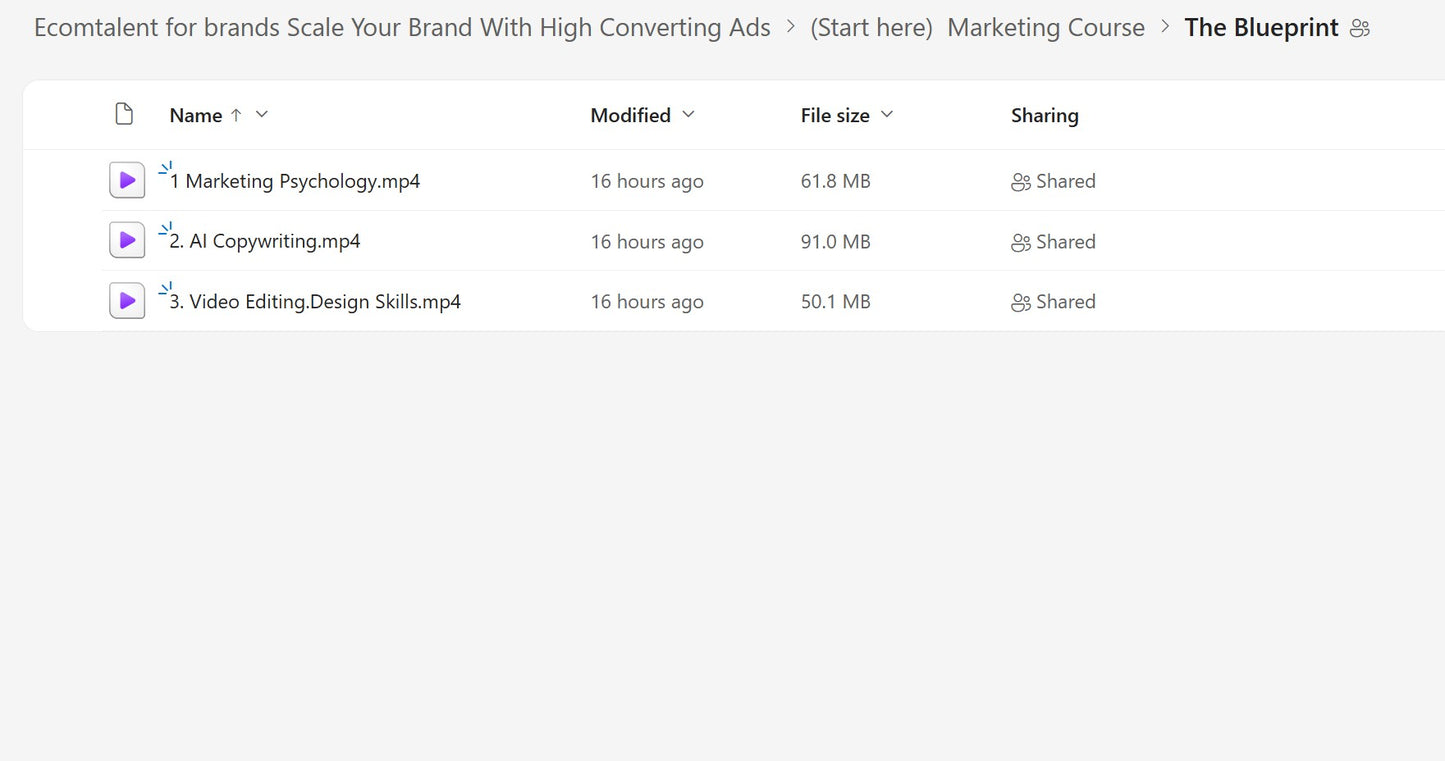 Karlo – Learn How To Make Ads & Scale Ecommerce Brands LIFETIME UPDATES Module 1.5 on mypremiumcourses.com