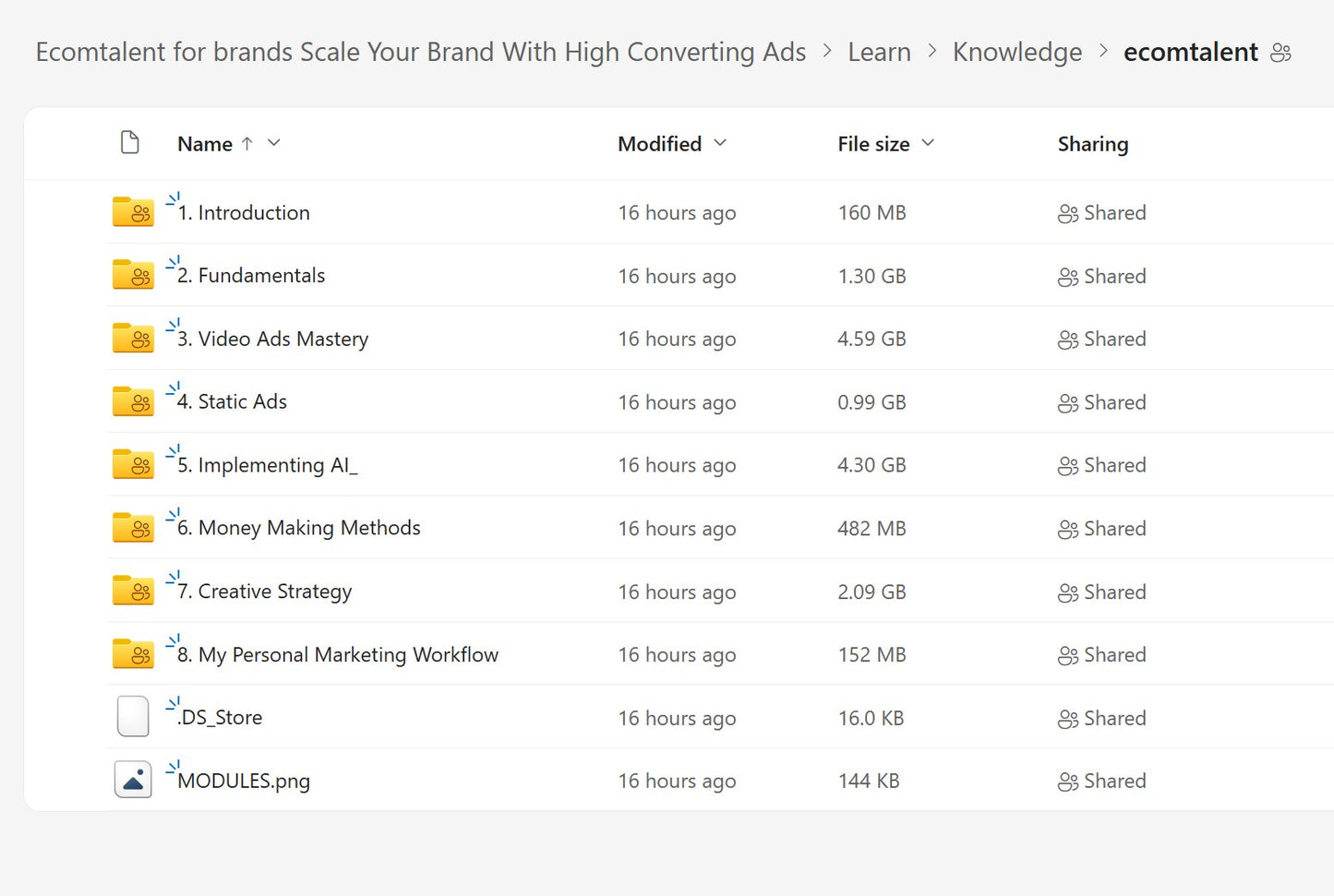Karlo – Learn How To Make Ads & Scale Ecommerce Brands LIFETIME UPDATES Module 2.1 on mypremiumcourses.com