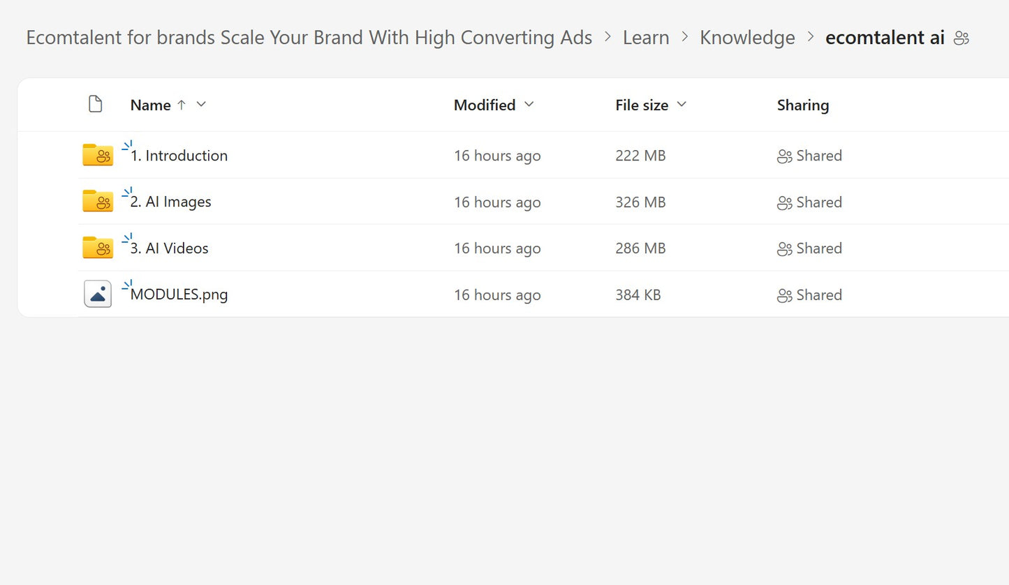 Karlo – Learn How To Make Ads & Scale Ecommerce Brands LIFETIME UPDATES Module 2.2 on mypremiumcourses.com