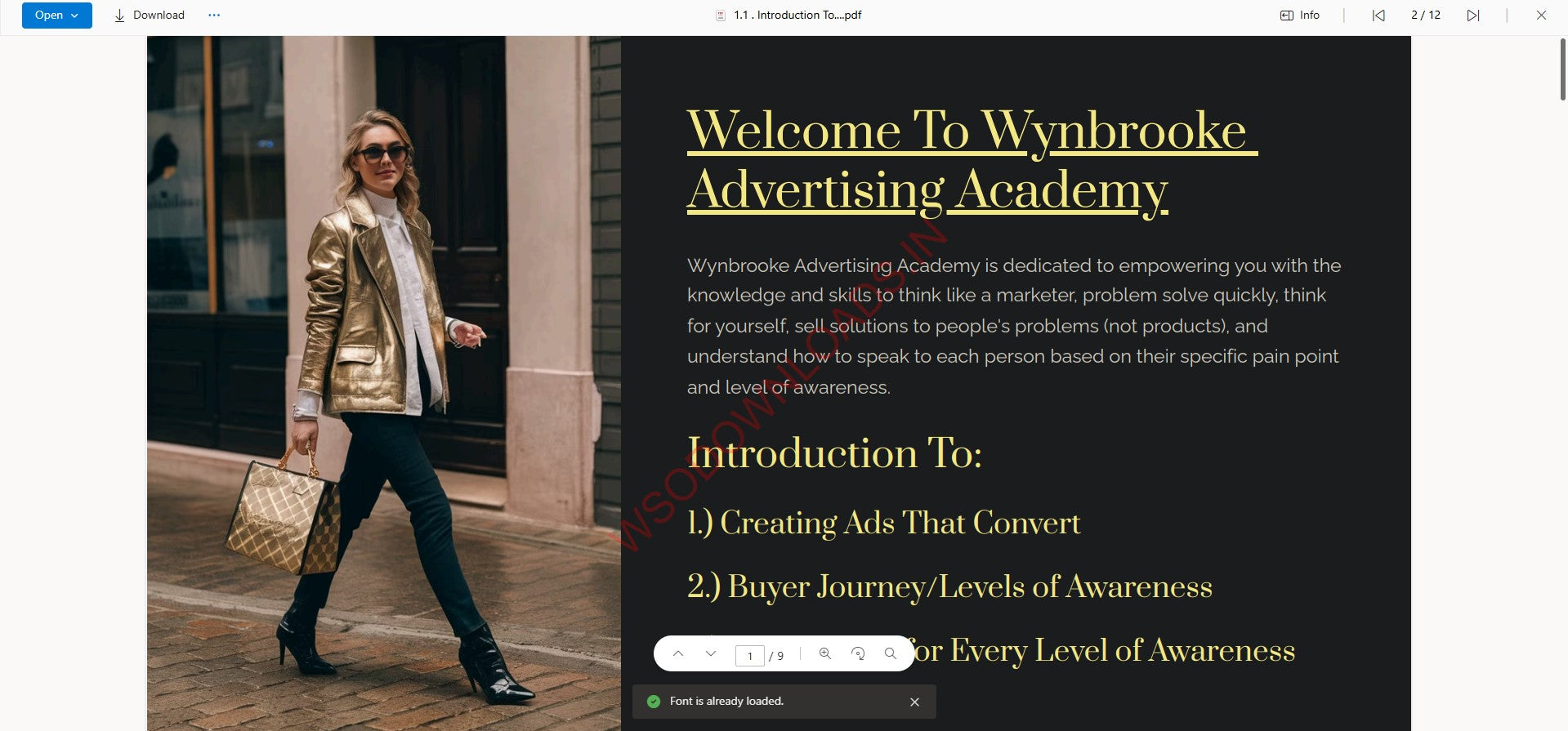 Wynbrooke Advertising Academy File Document on mypremiumcourses.com