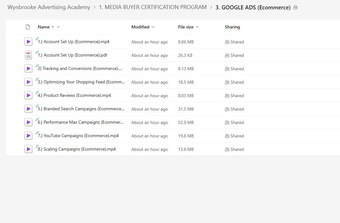 Wynbrooke Advertising Academy Module 1.3 on mypremiumcourses.com