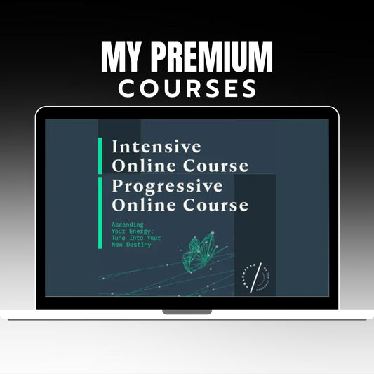 Dr Joe Dispenza - Progressive and Intensive Online Course Bundle on My Premium Courses