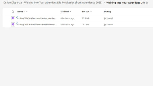 Dr Joe Dispenza - Walking Into Your Abundant Life – Guided Meditation (from Abundance 2025) Content on My Premium Courses