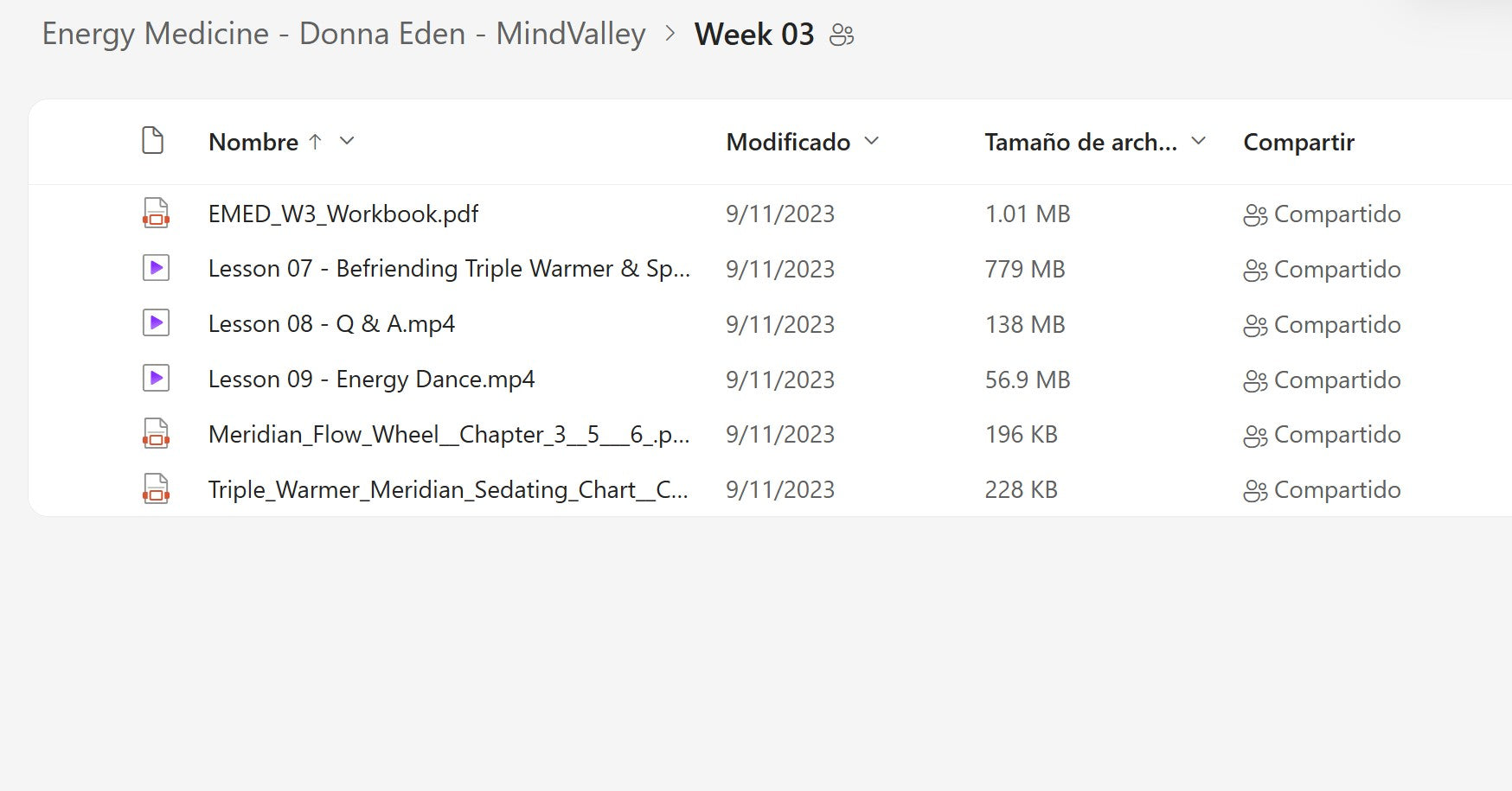 Energy Medicine - Donna Eden Module 4 on My Premium Courses