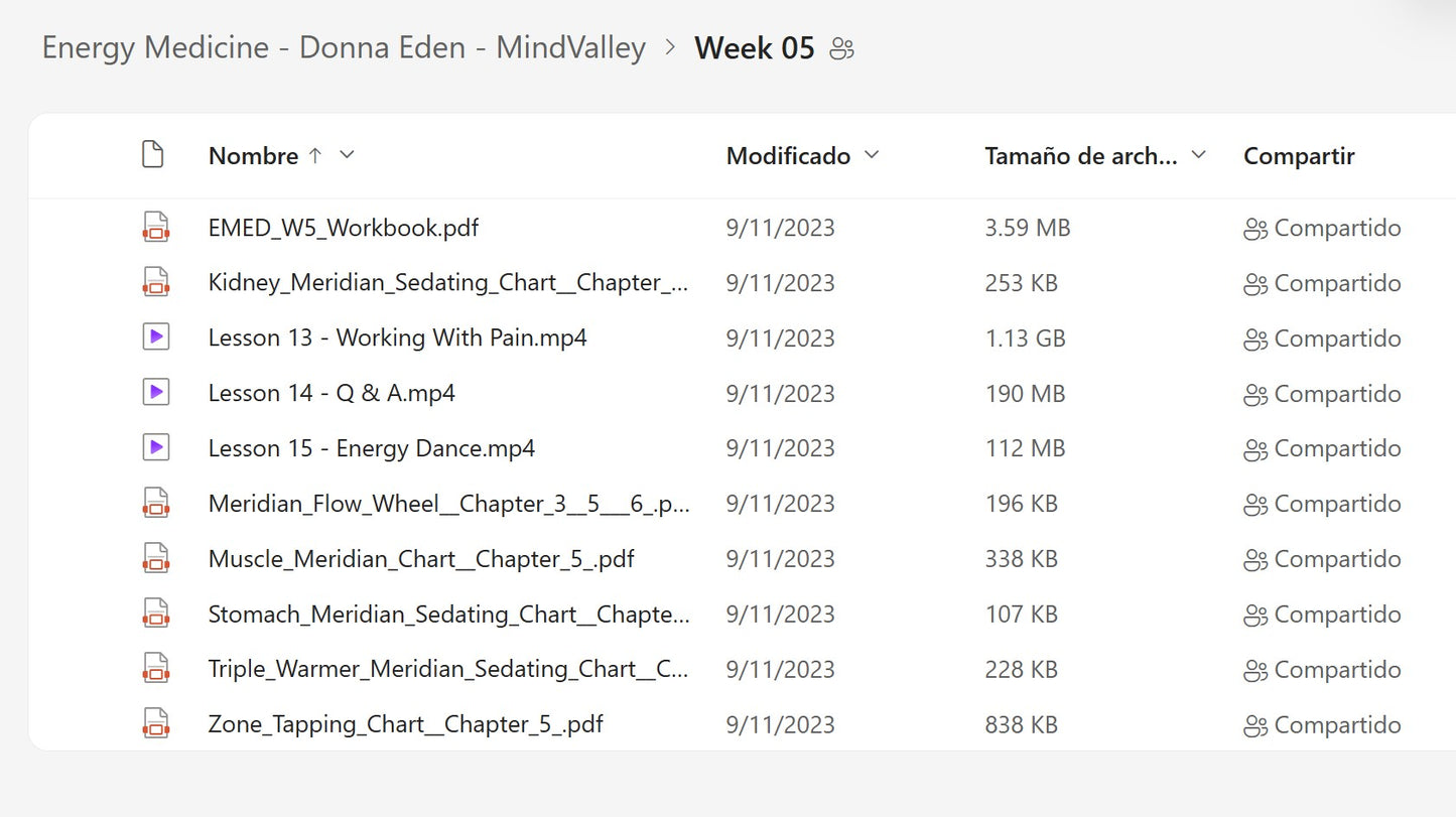 Energy Medicine - Donna Eden Module 6 on My Premium Courses