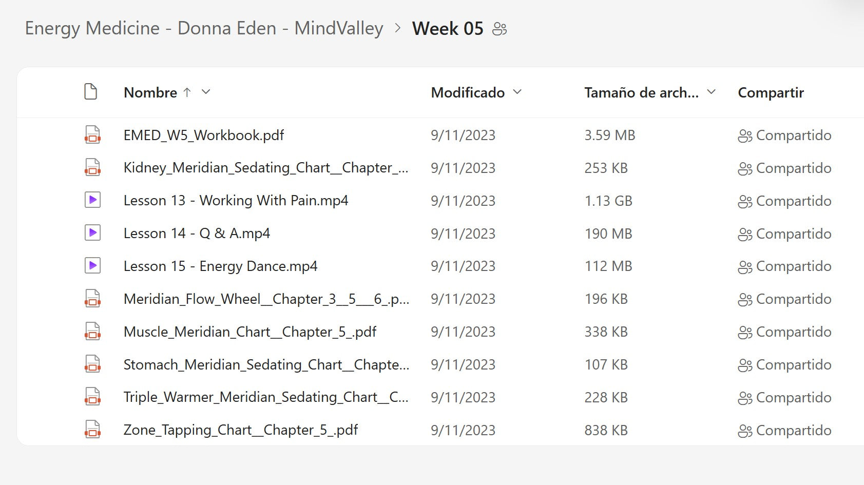 Energy Medicine - Donna Eden Module 6 on My Premium Courses