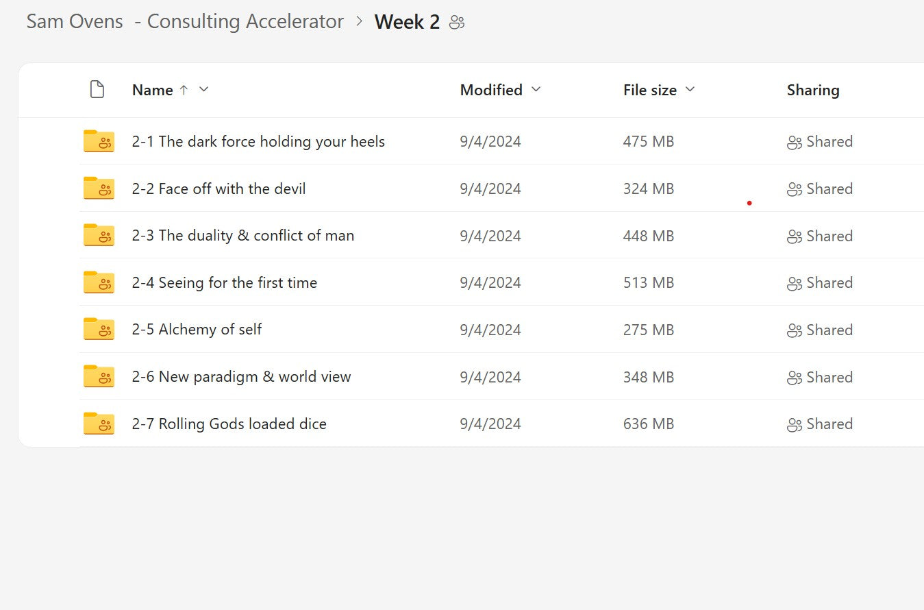 Sam Ovens - Consulting Accelerator Course Module 2 on My Premium Courses